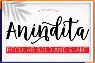 Anindita Font: A Playful Script for Memorable Digital Designs