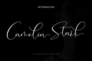 Camelia Stark: A Modern Script Font for Digital Design