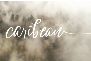 Caribean Font: A Romantic Script for Powerful Campaigns