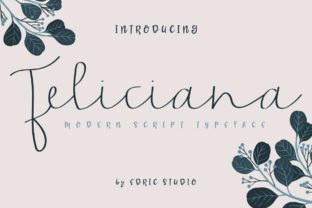 Feliciana Script Font for Authentic and Elegant Campaign Design