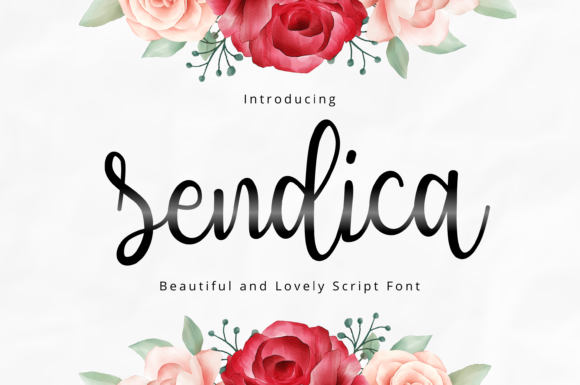 Sendica Font: A Playful Script for Elegant Designs