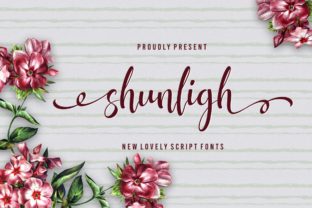 Shunligh Font for Modern Branding and Business Design