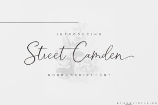 Street Camden Font for Polished Branding and Creative Projects